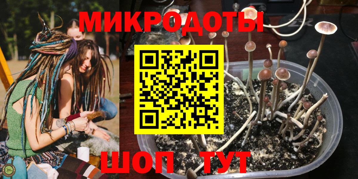 Псилоцибиновые грибы GOLDEN TEACHER Сегежа