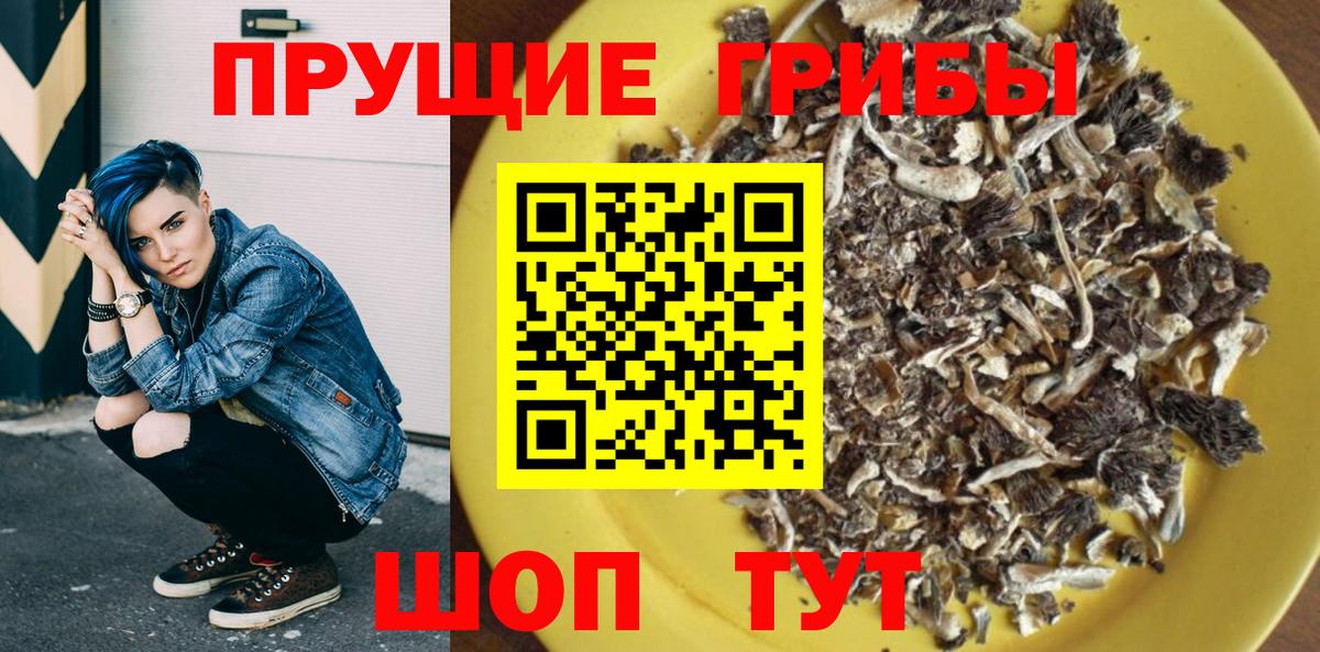 Сегежа  Галлюциногенные грибы ЛСД  Вход с VPN 